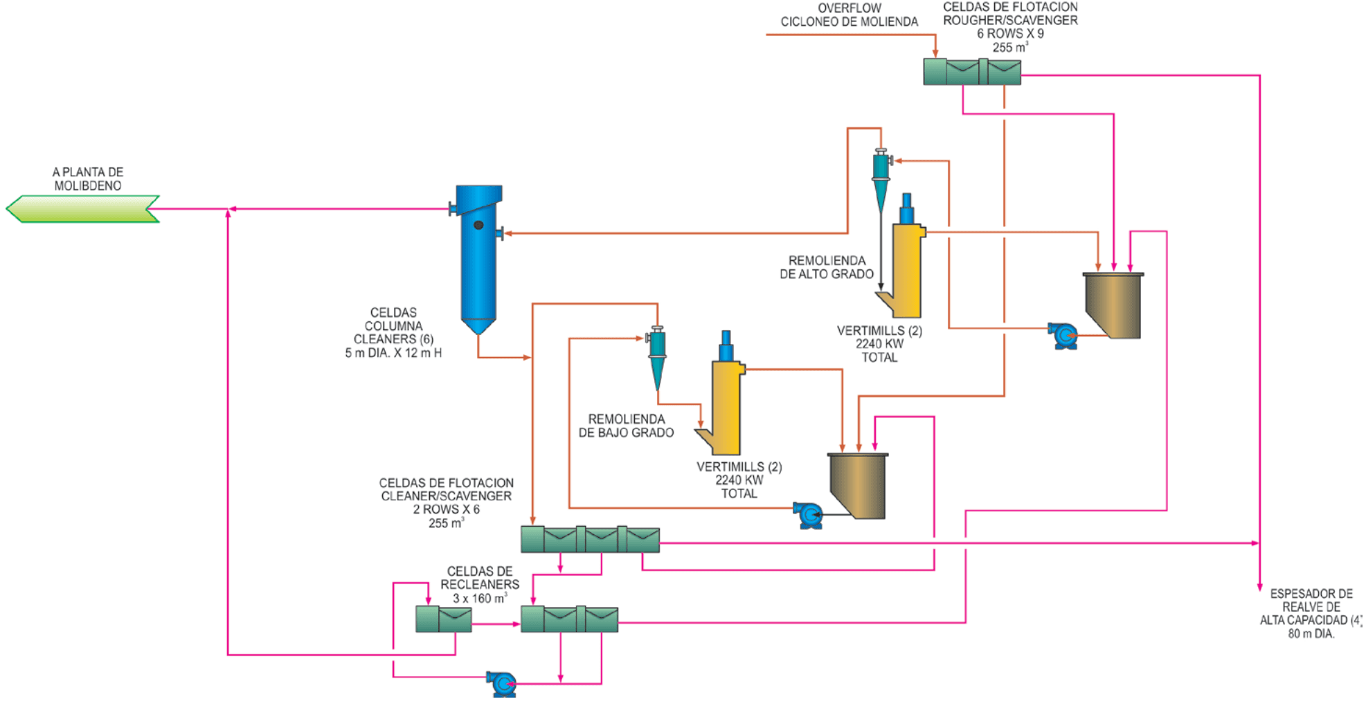 Flotacion bulk Cu-Mo: rougher, scavenger, cleaner y columnas
